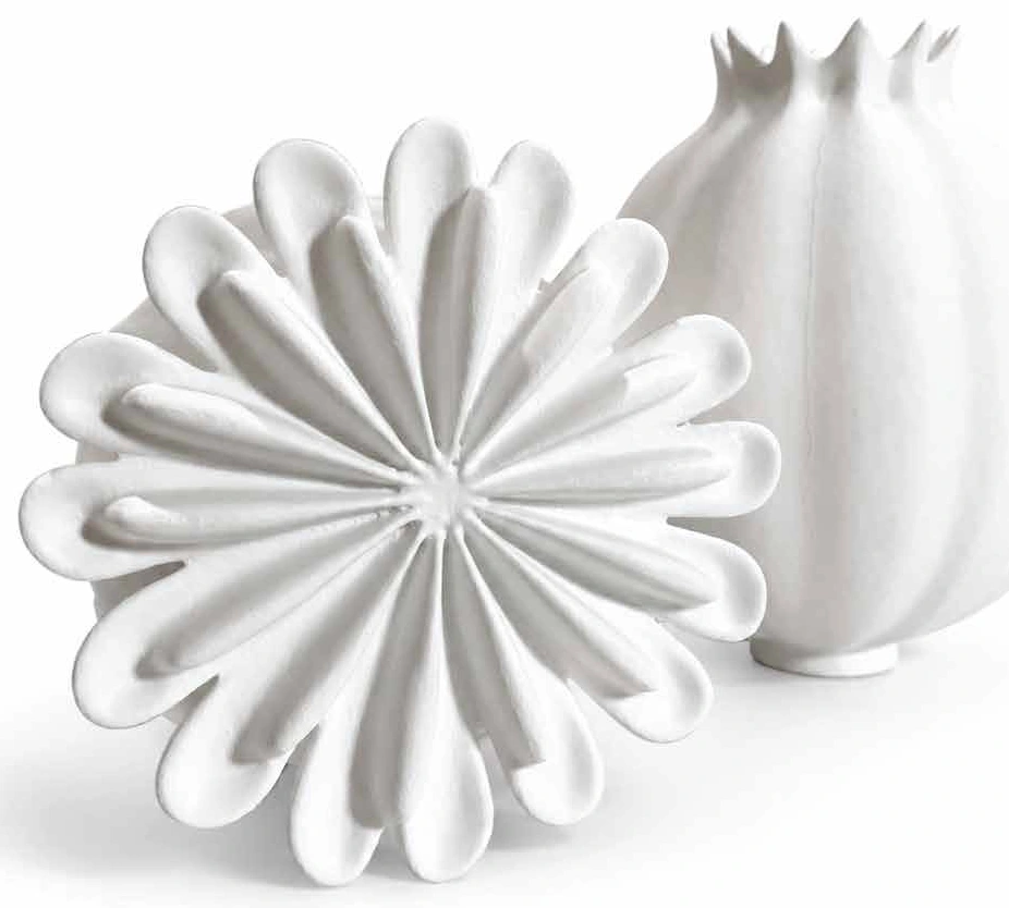 Two white seed pod forms, one open and one crowned